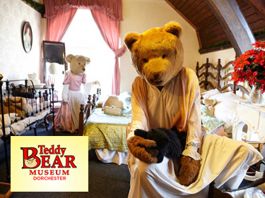 The Teddy Bear Museum in Dorset