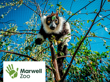 Marwell Zoo Vouchers