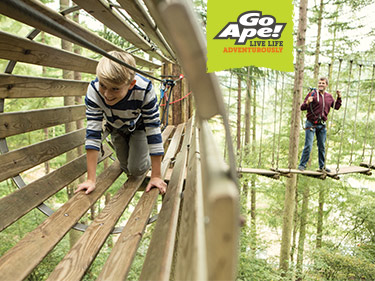 Go Ape Bank Holiday Day Out