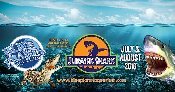 Kids Go Free to Blue Planet Aquarium this Summer