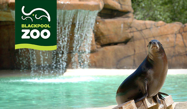 Blackpool Zoo Day Out Discount