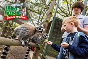 UK Farm Day Out with the Kids