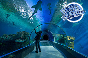 Dive into Blue Planet Aquarium this half term