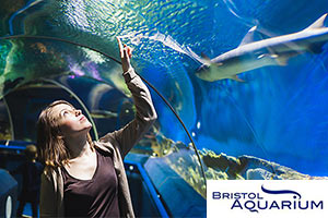 Bristol Aquarium Day Out for Families