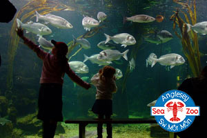 Anglesey Sea Zoo Voucher Code