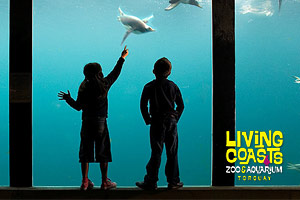 Living Coasts Aquarium Day Out for Kids