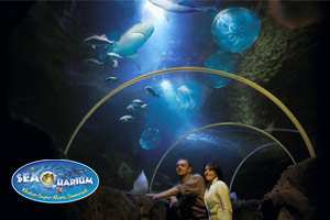 Seaquarium in Weston-Super-Mare with sting rays and shark displays