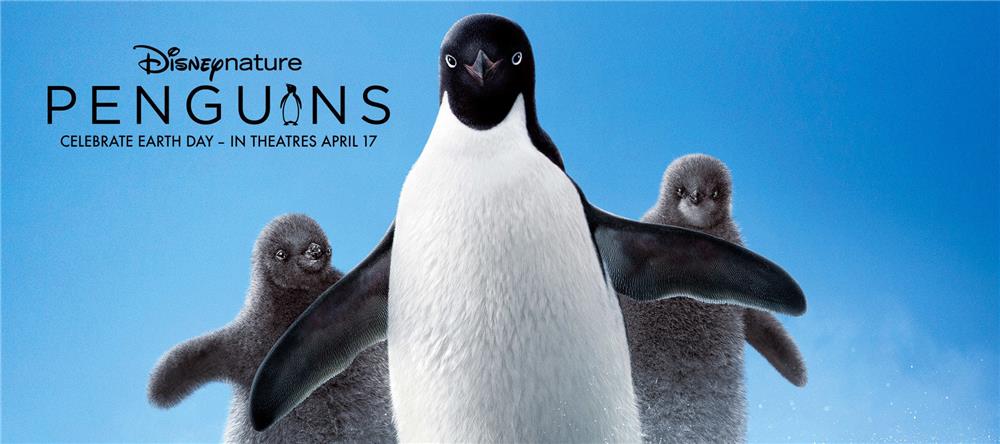 Penguins Movie 2019