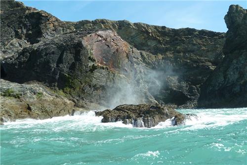 Wildlife Sea Safari Cruise Cornwall Family Day Out