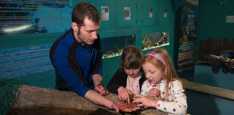 Seaquarium Kids Pass Day Out