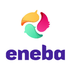 Eneba Game Store - online