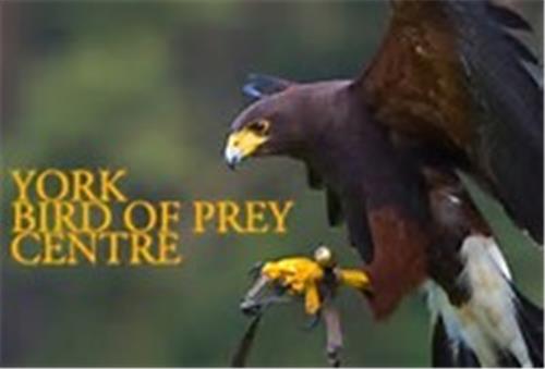 York Bird Of Prey Centre